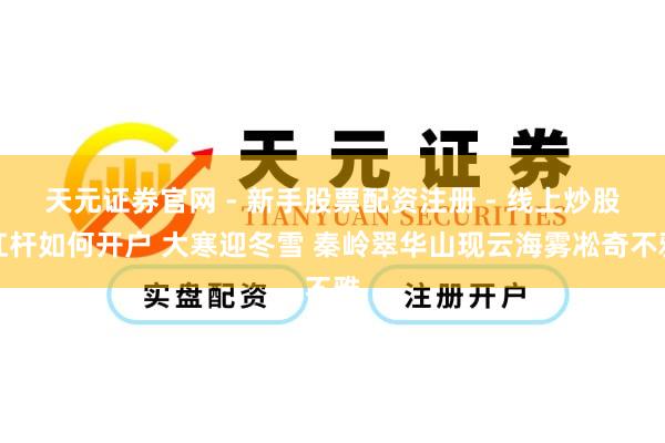 天元证券官网 - 新手股票配资注册 - 线上炒股杠杆如何开户 大寒迎冬雪 秦岭翠华山现云海雾凇奇不雅