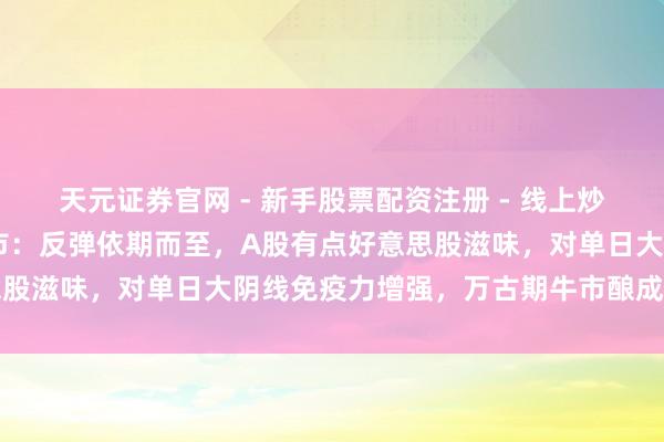 天元证券官网 - 新手股票配资注册 - 线上炒股杠杆如何开户 技艺看市：反弹依期而至，A股有点好意思股滋味，对单日大阴线免疫力增强，万古期牛市酿成信心壁垒