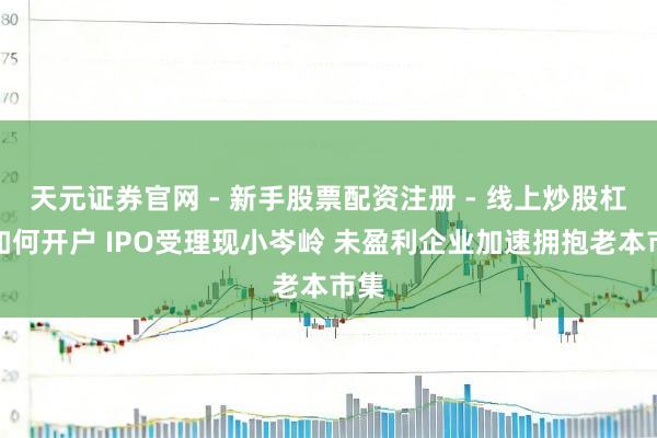 天元证券官网 - 新手股票配资注册 - 线上炒股杠杆如何开户 IPO受理现小岑岭 未盈利企业加速拥抱老本市集