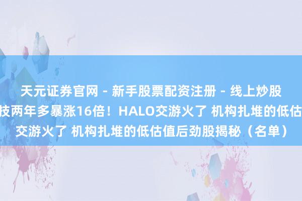 天元证券官网 - 新手股票配资注册 - 线上炒股杠杆如何开户 晓程科技两年多暴涨16倍！HALO交游火了 机构扎堆的低估值后劲股揭秘（名单）