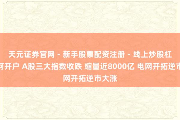 天元证券官网 - 新手股票配资注册 - 线上炒股杠杆如何开户 A股三大指数收跌 缩量近8000亿 电网开拓逆市大涨