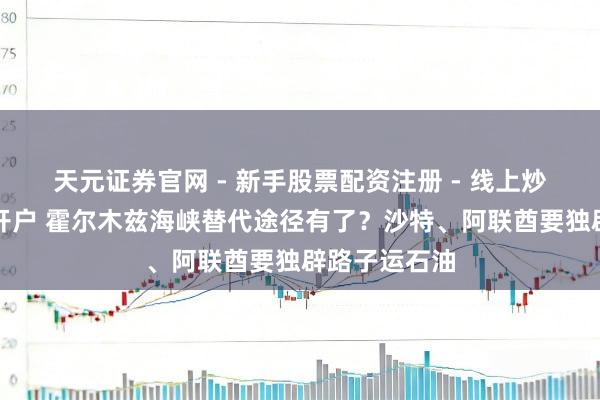 天元证券官网 - 新手股票配资注册 - 线上炒股杠杆如何开户 霍尔木兹海峡替代途径有了？沙特、阿联酋要独辟路子运石油