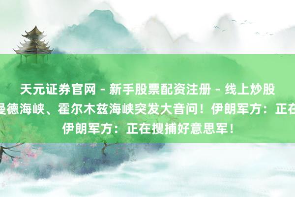 天元证券官网 - 新手股票配资注册 - 线上炒股杠杆如何开户 曼德海峡、霍尔木兹海峡突发大音问！伊朗军方：正在搜捕好意思军！
