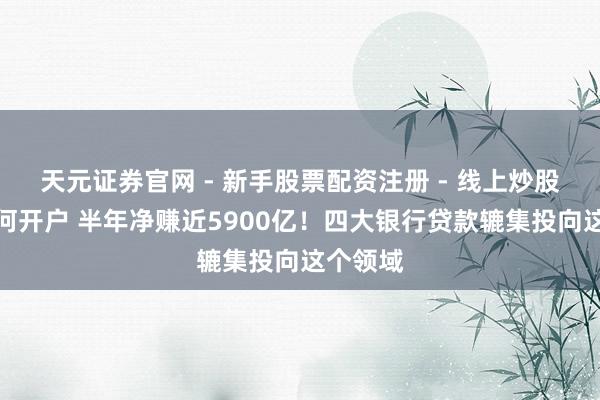 天元证券官网 - 新手股票配资注册 - 线上炒股杠杆如何开户 半年净赚近5900亿！四大银行贷款辘集投向这个领域