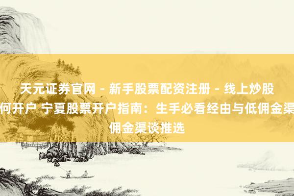 天元证券官网 - 新手股票配资注册 - 线上炒股杠杆如何开户 宁夏股票开户指南：生手必看经由与低佣金渠谈推选