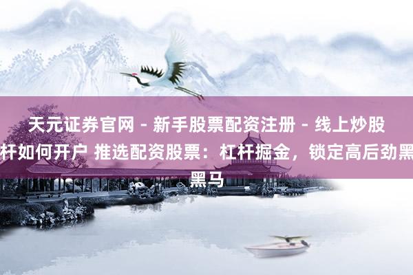 天元证券官网 - 新手股票配资注册 - 线上炒股杠杆如何开户 推选配资股票：杠杆掘金，锁定高后劲黑马