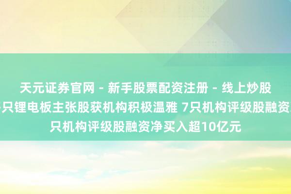 天元证券官网 - 新手股票配资注册 - 线上炒股杠杆如何开户 多只锂电板主张股获机构积极温雅 7只机构评级股融资净买入超10亿元