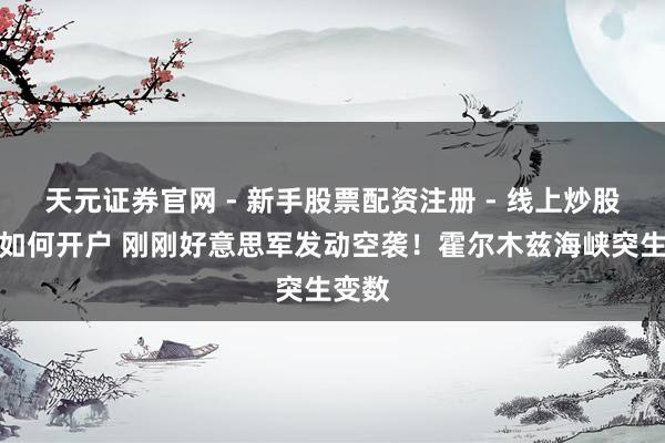 天元证券官网 - 新手股票配资注册 - 线上炒股杠杆如何开户 刚刚好意思军发动空袭！霍尔木兹海峡突生变数