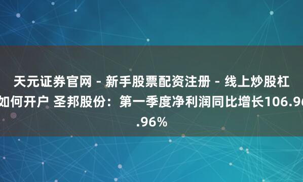 天元证券官网 - 新手股票配资注册 - 线上炒股杠杆如何开户 圣邦股份：第一季度净利润同比增长106.96%