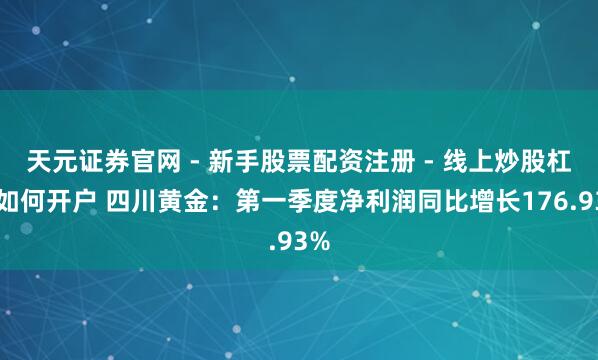 天元证券官网 - 新手股票配资注册 - 线上炒股杠杆如何开户 四川黄金：第一季度净利润同比增长176.93%