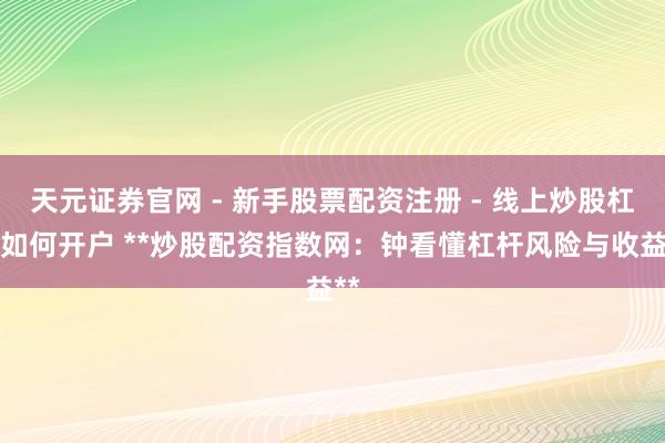 天元证券官网 - 新手股票配资注册 - 线上炒股杠杆如何开户 **炒股配资指数网：钟看懂杠杆风险与收益**